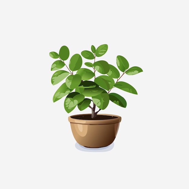 Botanical Charm Potted Plant Vector Art