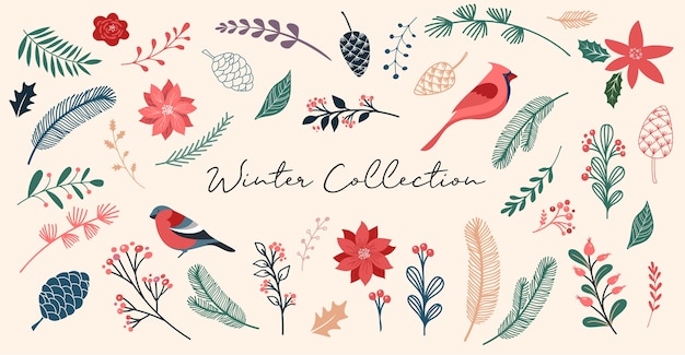 Botanical Christmas, Xmas elements, winter flowers, leaves, birds and pinecones