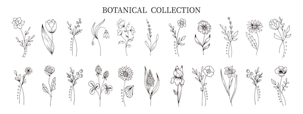 Botanical collection of hand drawn flowers and plants in doodle style. Sketch, line art. Icons