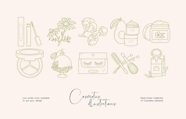 botanical cosmetics line art illustration set for brand identity