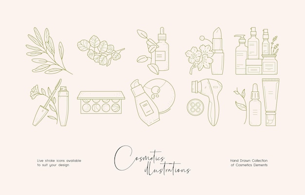 botanical cosmetics line art illustration set for brand identity