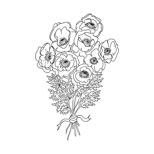 Botanical doodle Poppy bouquet black and white lineart hand drawn sketch Vector illustration