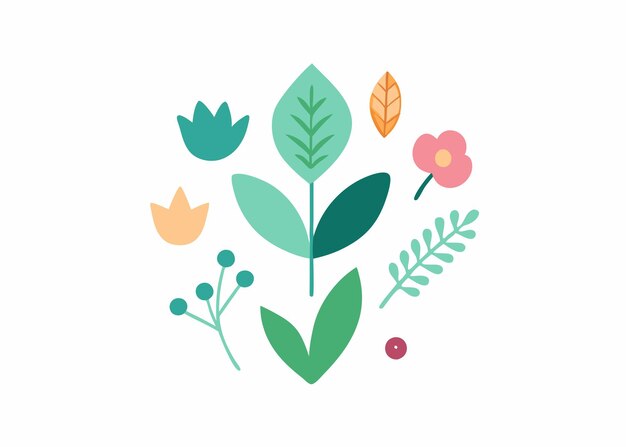 Vector botanical doodles collection flat illustration on white background