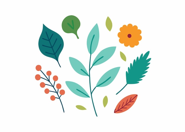 Vector botanical doodles collection flat illustration on white background