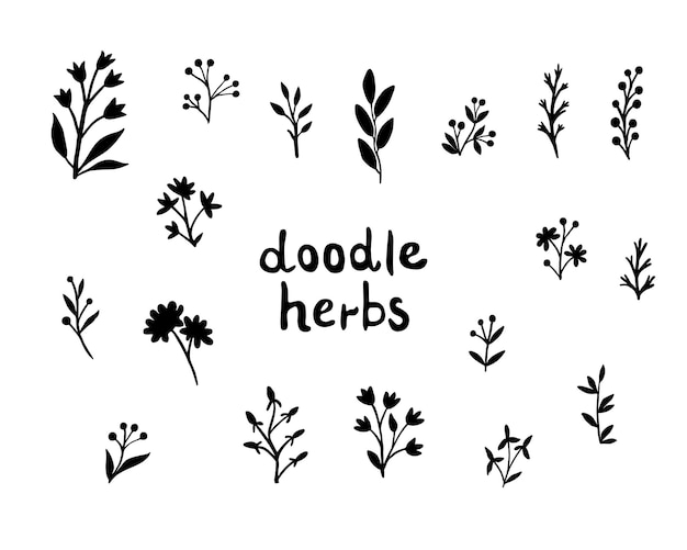 Botanical doodles set Forest herbs berries twigs and flowers are drawn by hands