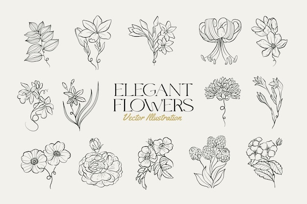 Botanical drawing Minimal plant logo botanical graphic sketch drawing meadow greenery