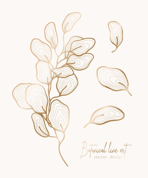 Botanical elegant golden line illustration of a leaves branch