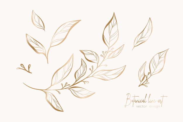 Botanical elegant line art illustration of flower leaves branch