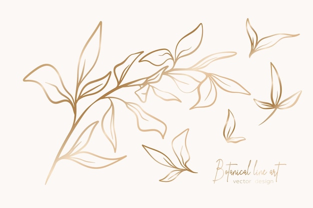 Botanical elegant line art illustration of flower leaves branch