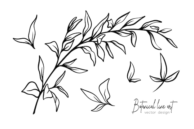 Botanical elegant line art illustration of flower leaves branch