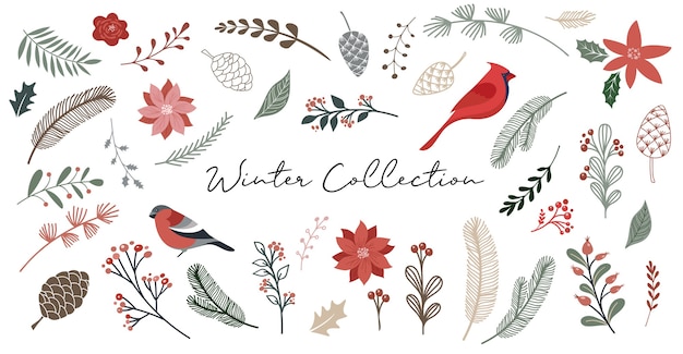 Botanical elements, winter flowers, leaves, birds and pinecones isolated, Hand drawn vector illustration