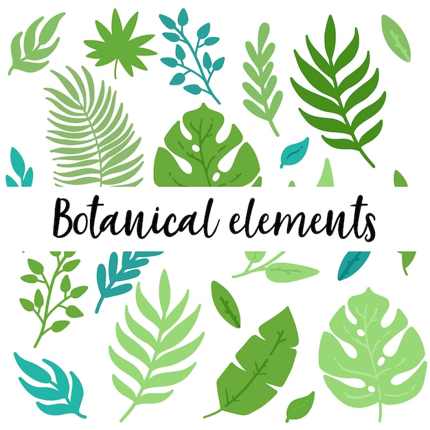 Botanical elements