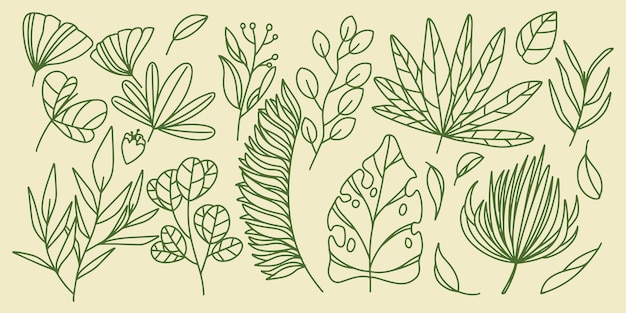 Botanical fern forest elements drawing set vintage