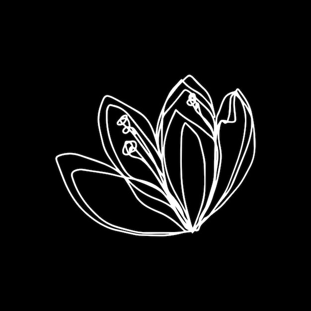 Botanical floristic contour flower cherry sakura apple tree open buds Vector single isolated minimalistic white and black flower