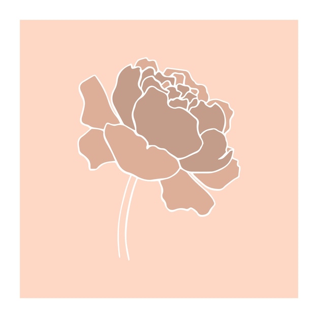 Botanical floristic contour flower peonies open buds Vector isolated minimalistic flower