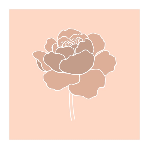 Botanical floristic contour flower peonies open buds Vector isolated minimalistic flower