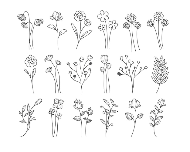 Botanical flower line art