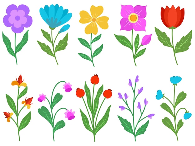 Botanical Flowers Arrangement illustration