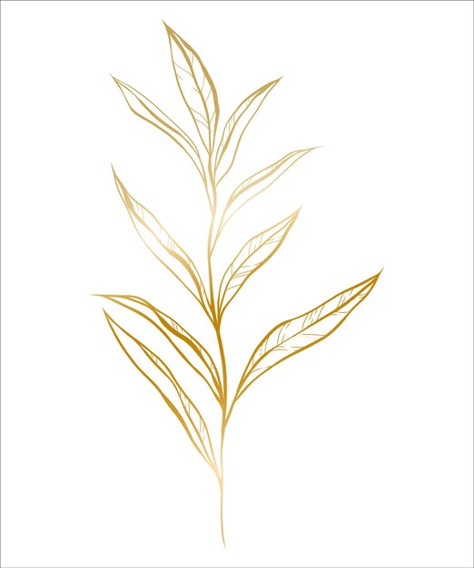 Botanical golden illustration of a eucalyptus branch for wedding invitation and cards logo design