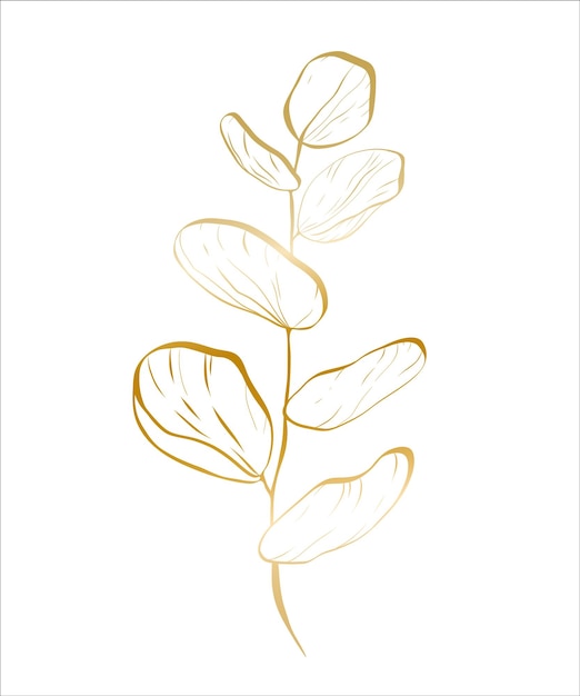 Botanical golden illustration of a eucalyptus branch for wedding invitation and cards logo design