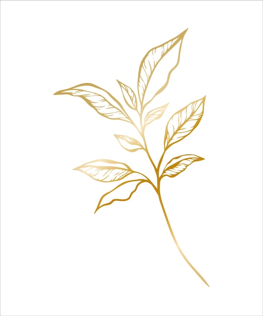 Botanical golden illustration of a leaves branch for wedding invitation and cards logo design web