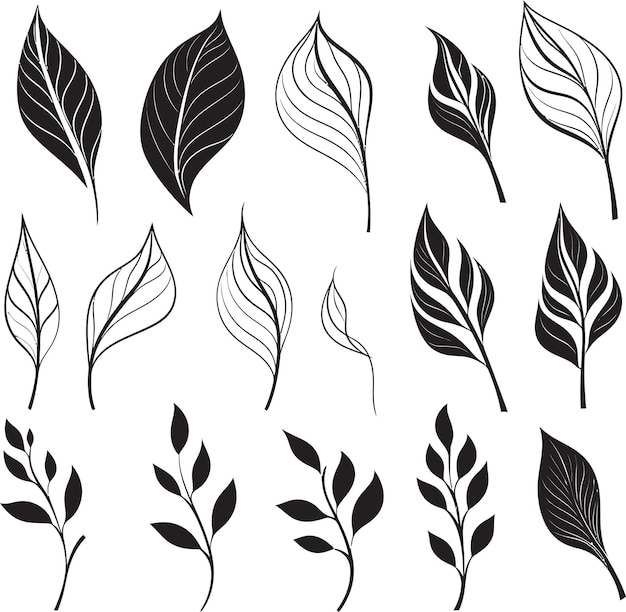 Vector botanical ink black vector icon leafy impressions plant leaves emblem