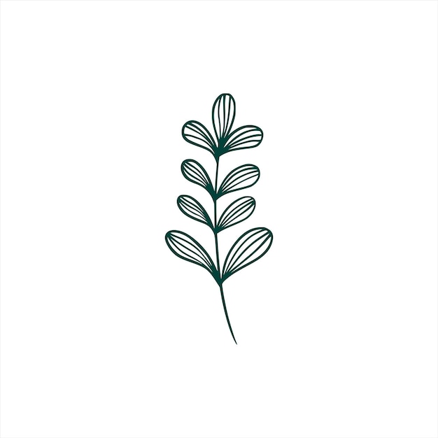 Botanical leaf doodle wildflower line art