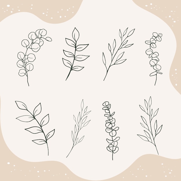 Botanical leaf and flower outline vector icon set