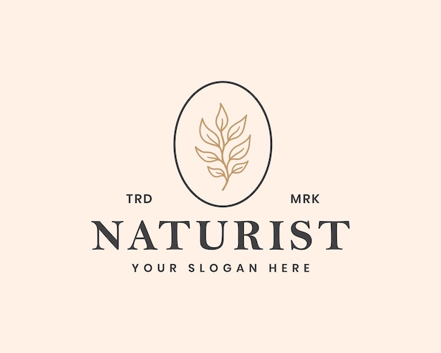 botanical leaf logo concept