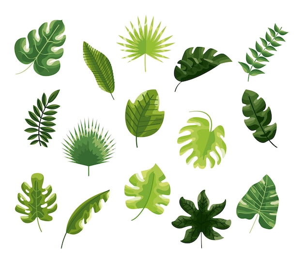 botanical leaves set