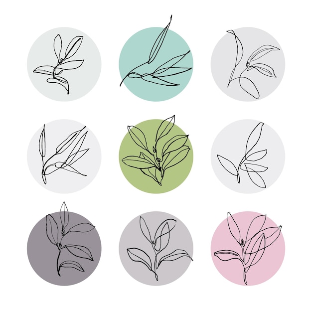 Botanical line art vector set Artistic drawing vector illustration