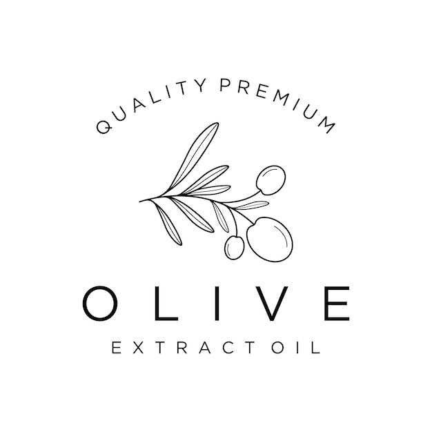 Botanical logo template Hand drawn natural olive leaf and fruit Herbal olive oilcosmetic or beauty