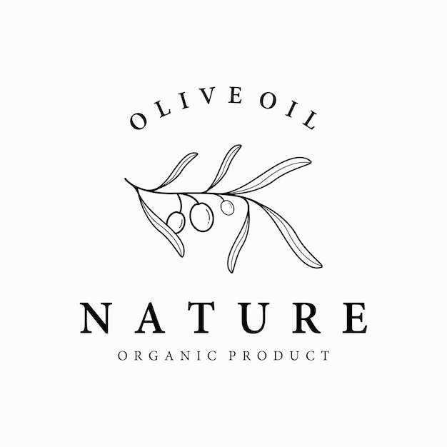 Botanical logo template Hand drawn natural olive leaf and fruit Herbal olive oilcosmetic or beauty