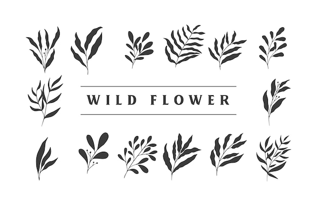 Botanical Wild flower Organic Hand Draw Illustration