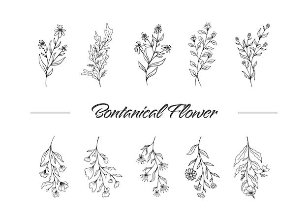 Botanical Wild flower Organic Hand Draw Illustration