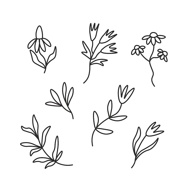 Botany minimal line art collection