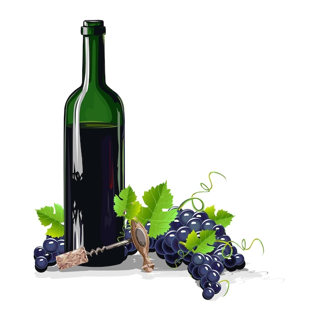 bottle of wine with bunches of grapes