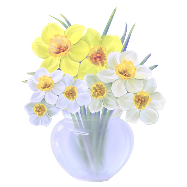 Bouquet of daffodils flowers in glass vase illustration isolated vector on white background