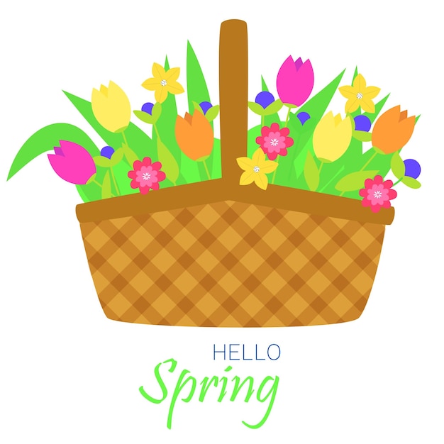 Bouquet of flowers in basket. Spring bouquet with beautiful flowers. Vector illustration.