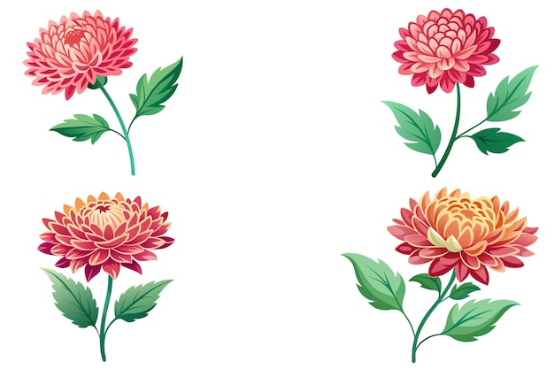 Vector bouquet of flowers dahlias vector design illustration