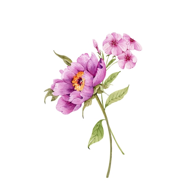 bouquet of flowers pink peonies watercolorillustrations on a white background