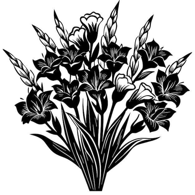 Bouquet of gladiolus flowers Black and white illustration