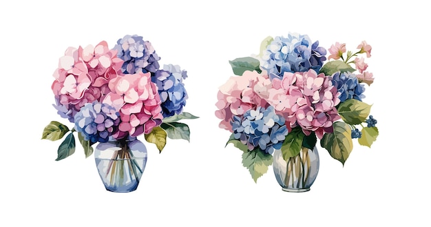 Bouquet of hydrangeas in a vase clipart isolated vector illustration