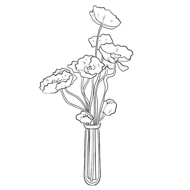 Bouquet in a linear style of anemone eucalyptus in a glass vase Sketch modern art