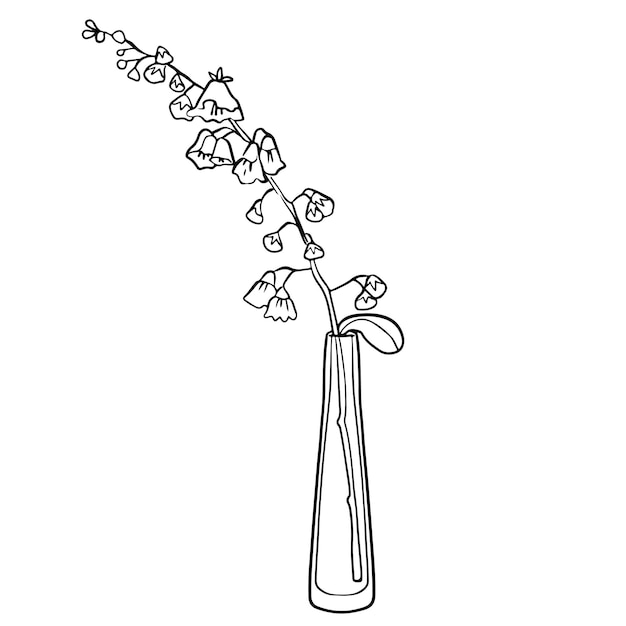 Bouquet in a linear style from Campanula in a glass vase Sketch modern art