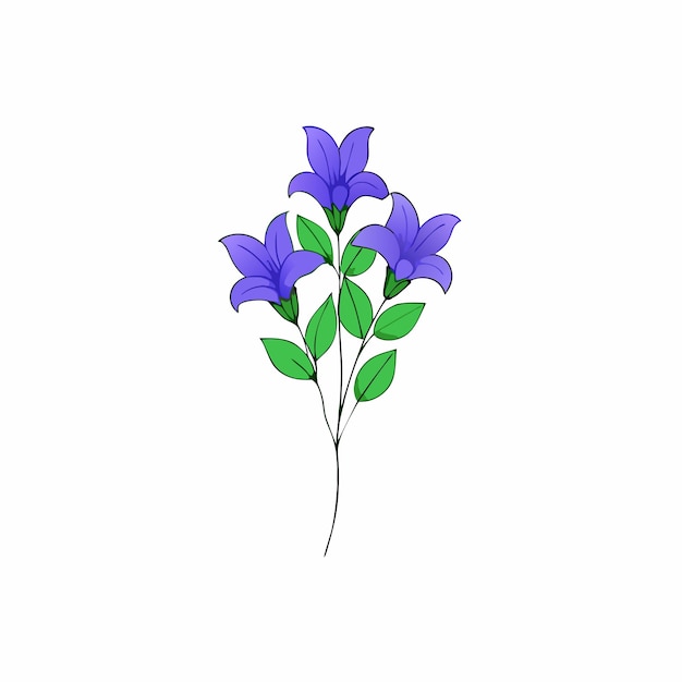 a bouquet made of balloon flowers with green leaves 13