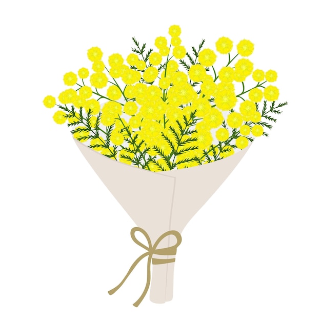 Bouquet of mimosa Element for greeting card