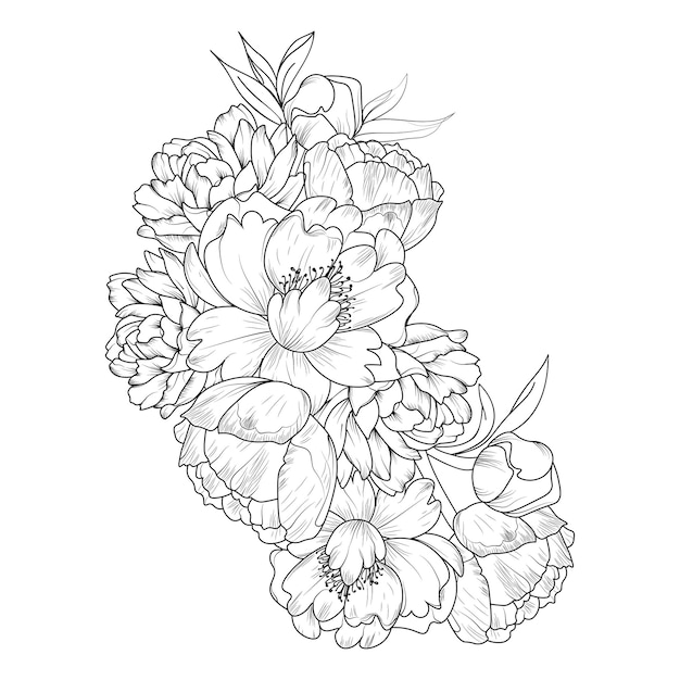 Vector bouquet of peony flower hand drawn pencil sketch coloring page and book for adults isolated on white