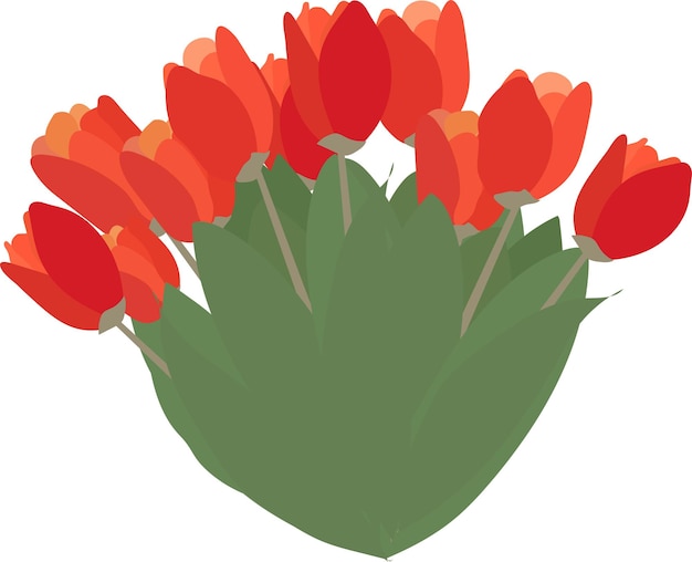 A bouquet of pink tulips illustration for spring festival