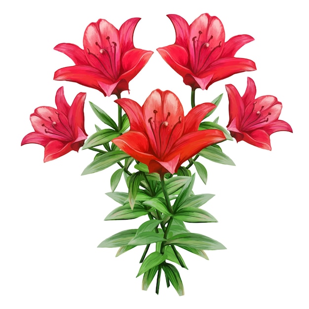 Bouquet of red lily flowers vector illustration